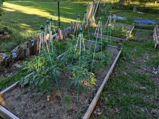 Garden Hack! Repurpose winter driveway snow plow stakes for tomato cages